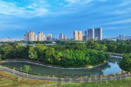 99久久人妻精品免费一区-探索成人内容平台的伦理与界限，理性视角下的网络文化