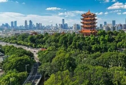 av中文在线麻豆-夜幕下的微光——AV中文在线麻豆的多元解读