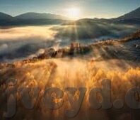 成人视频超碰在线-成人视频超碰在线，网络时代的隐私与道德边界