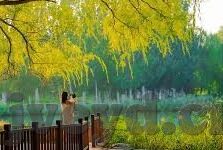 成人影视频-成人影视频，社会视角下的复杂议题