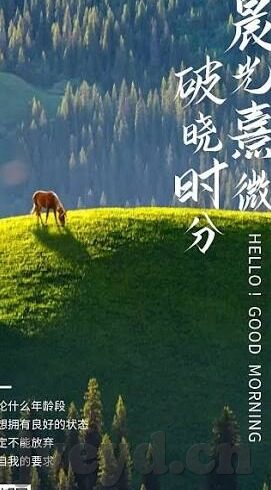 麻豆av地址-麻豆影视资源的分享，理性观影的视角