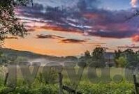 麻豆精品导航av 沈芯语-透过流转光影，解析麻豆精品导航AV中沈芯语的独特魅力