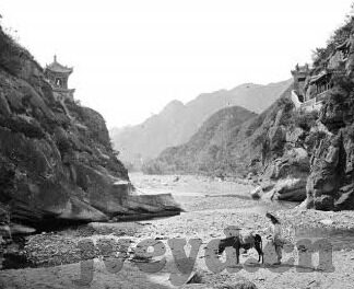 麻豆漫画app-麻豆漫画APP——数字时代的漫画盛宴