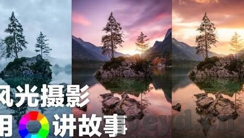 麻豆模特app-融入时尚的绿色园地，麻豆模特APP的多元魅力