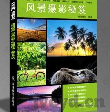麻豆嫩草视频在线观看-探索网络世界中的视觉内容边界，现状与考量