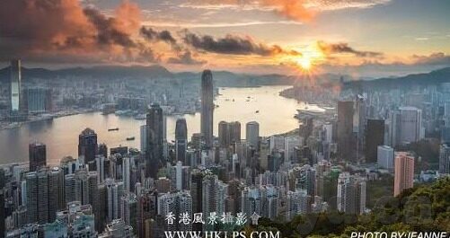 麻豆之约app-麻豆之约app，创作者与粉丝的互动新纪元
