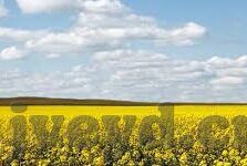 糖心app下载汅api-探秘糖心app的下载与汅api功能，一个使用者的真实感受与指引